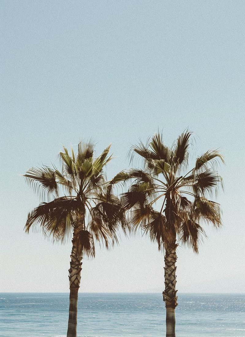 Honeymoon