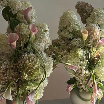hortensien hochzeit